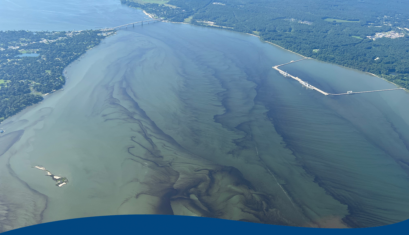 Harmful Algal Blooms