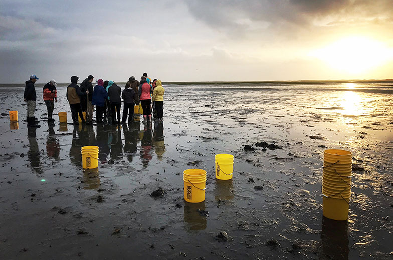 A group of William & Mary students engage in field work with VIMS researchers on a mud flat. Photo by Gail Schwieterman
