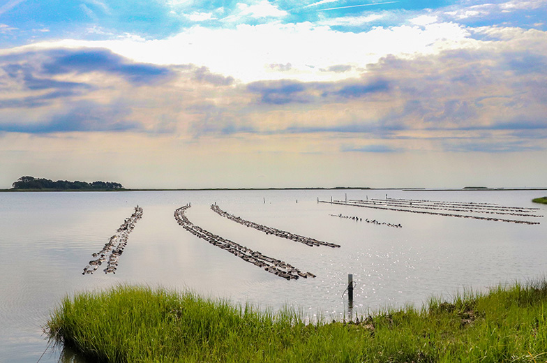 Vogt_Oyster_Farm