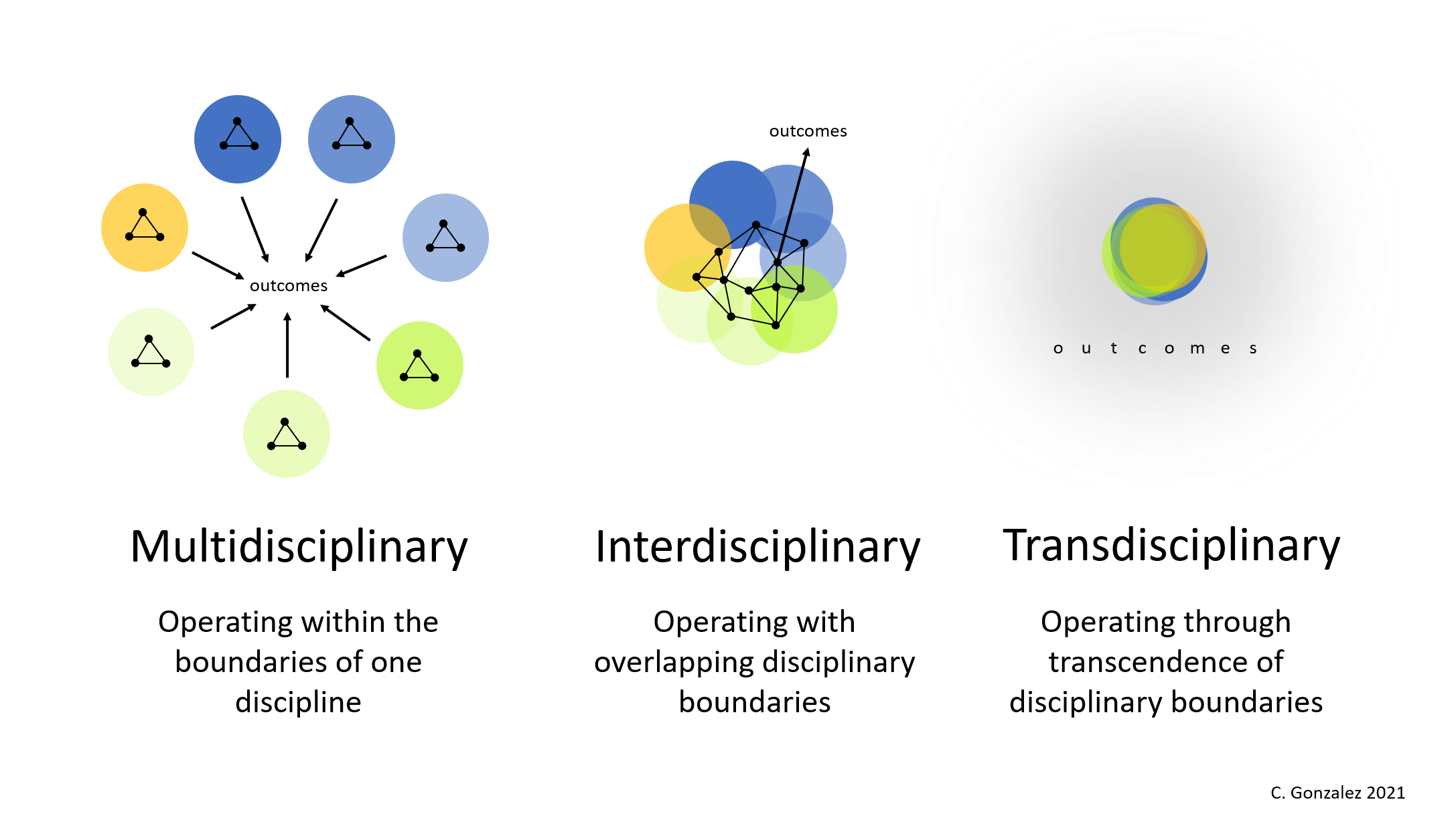 Figure 3. Collaborative strategies among disciplines; CTP aims for transdisciplinary methodologies and approaches.