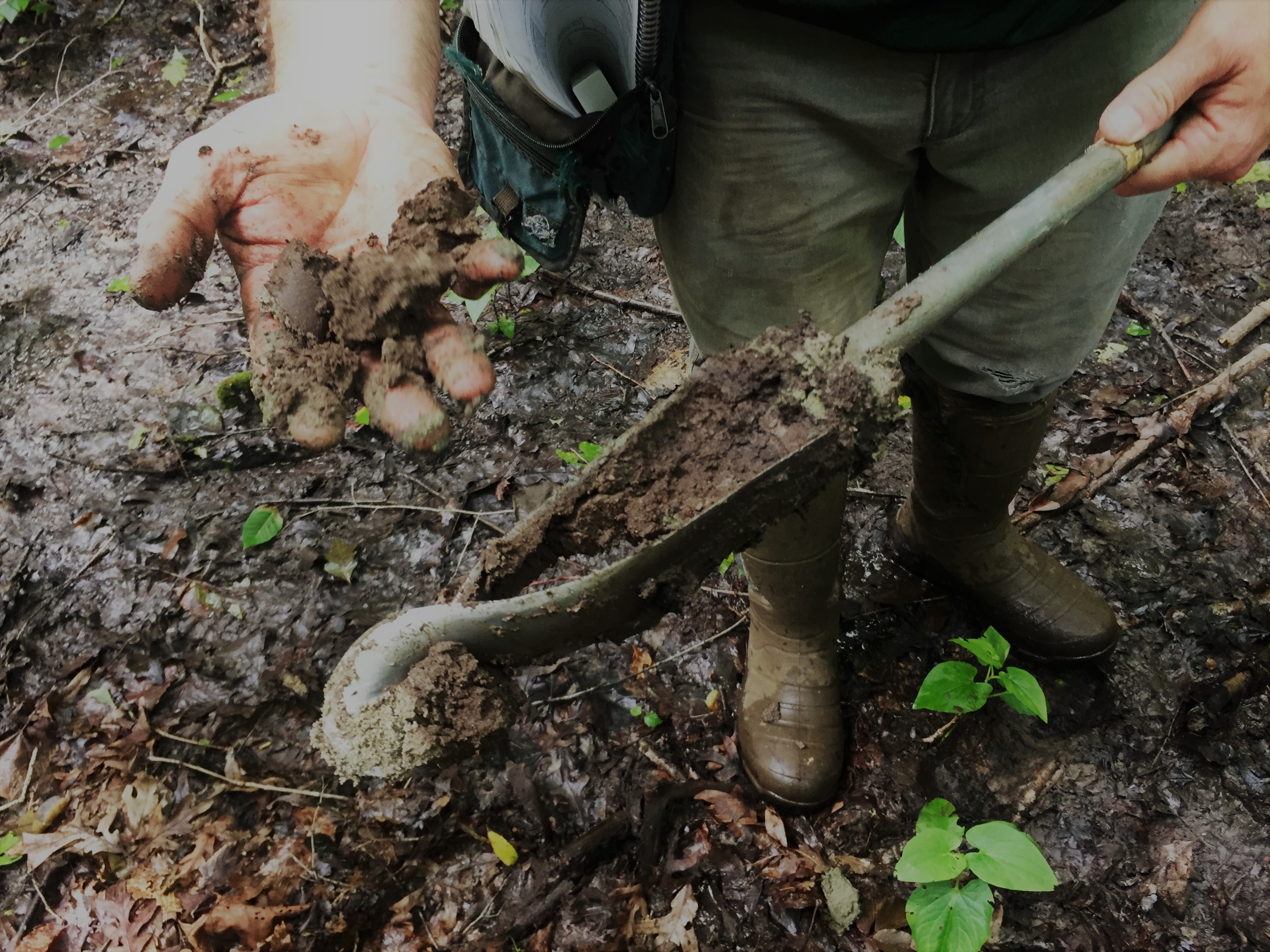 Sampling soil in the field.
