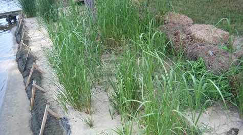 Fiber Log - Raised Elevation