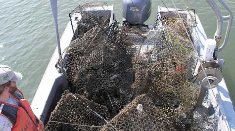 Derelict Fishing Gear