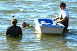 Stephanie Salisbury (C) samples the shallow sediments of the York River for her research.