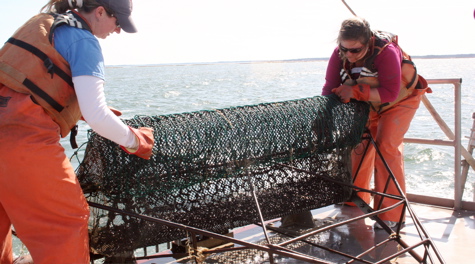 Emptying the Dredge