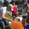 Beach Cleanup