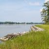 A living shoreline.