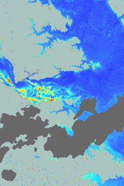 Chlorophyll a in the lower York River on 29 August 2016 as indicated by the ESA Sentinel-2a satellite sensor. In this false-color image, red indicates higher chlorophyll content in the water.  Copernicus Sentinel data (2016)/ESA