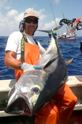 VIMS assistant professor Kevin Weng with a bigeye tuna ({em}Thunnus obesus{/em}) collected as part of the study of Fukushima-derived radioactivity in large Pacific Ocean predators. © A. Gray aboard FV Aoshibi IV.