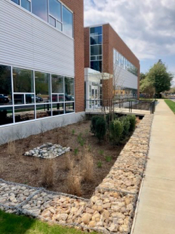 Davis Hall uses native plants, rain gardens, and other techniques to minimize run-off and provide habitat for birds and other wildlife.