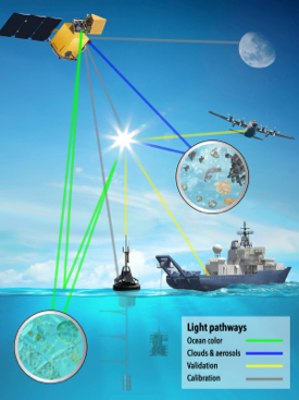 The EXPORTS project will use ocean sampling and satellite observations to characterize the biological pump. Image from NASA. Click for pop-up.