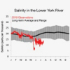 York River Salinity