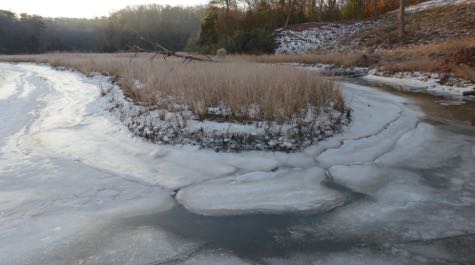 Low, Cold Creeks