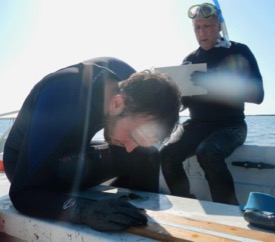 Jonathan Lefcheck (L) and Robert "JJ" Orth study seagrass habitats in Virginia's seaside bays. © P. Richardson/VIMS.