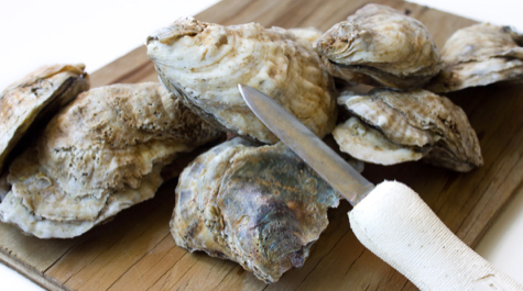 Oysters