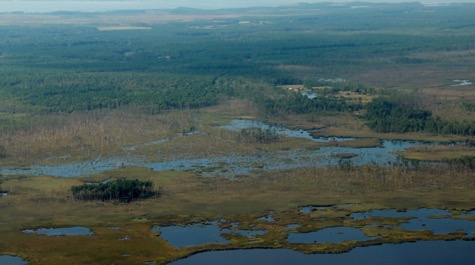 Marsh Vulnerability  