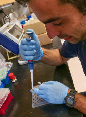 Semedo mixes reagents needed to quantify the abundance of denitrifying bacteria in the environment. © Lisa Sadler/Virginia Sea Grant.