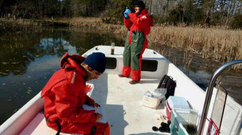 Collecting Water Samples