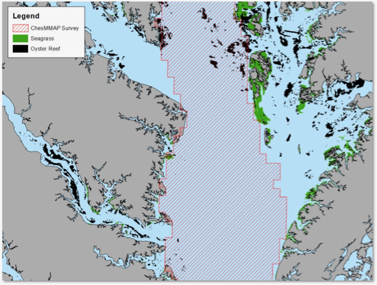 Shallow waters and concerns regarding damage to nets and bottom habitats prevent trawl survey scientists from sampling most of the oyster reefs and seagrass beds within Bay tributaries. Multispecies Research Group/VIMS.