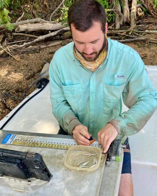 Researcher Jack Buchanan measures the seine catch on the Rappahannock River. © S. Dowiarz/VIMS..