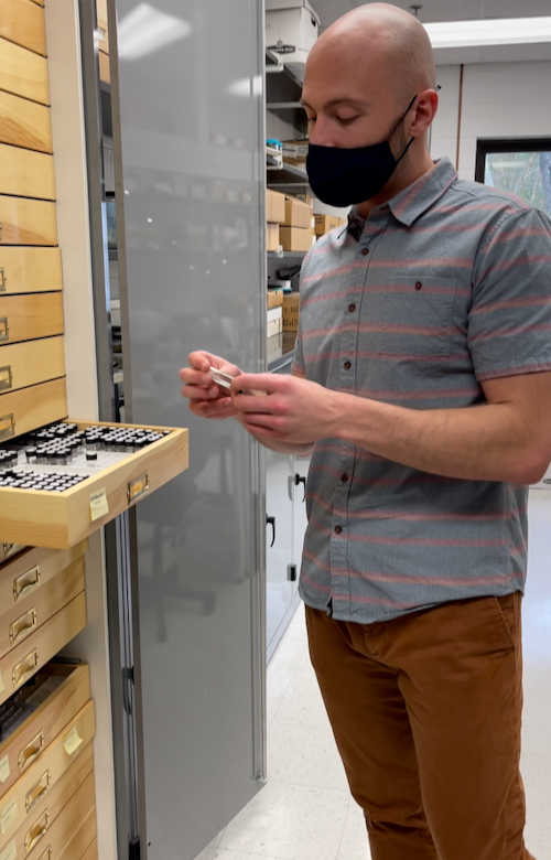 Doctoral candidate Andrew Corso prepares to analyze a vial of Antarctic silverfish from the Nunnally Ichthyology Collection at VIMS. © Laura Patrick/VIMS.