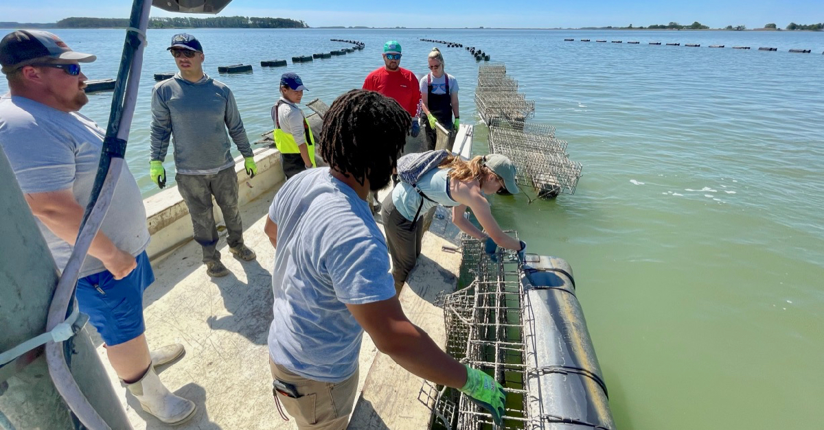 Shellfish Aquaculture Course