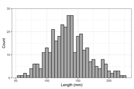 Marquardt studied the size distribution of fossil oysters to illuminate their growth potential and capacity to keep pace with sea-level rise.