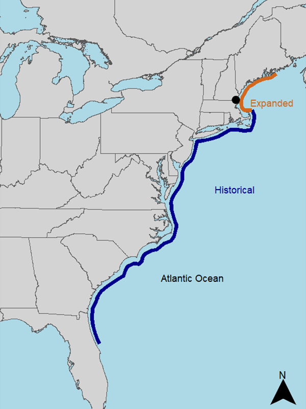 Map of Minuca pugnax distributions. Black dot in northeast Massachusetts indicates area where studies were conducted. Map courtesy of Alex Schneider, VIMS PhD student.