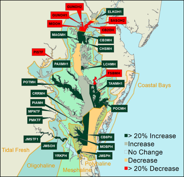 SAV Coverage Changes Across Salinity Zones