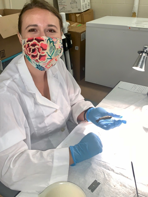 Dr. Meredith Evans Seeley examines a juvenile rainbow trout in the laboratory. © Barb Rutan/VIMS.