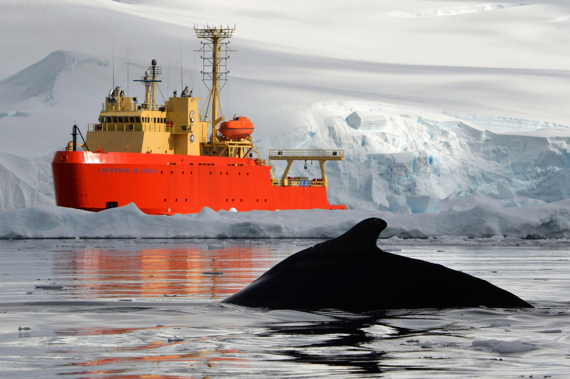 The ARSV Laurence M. Gould was retired from NSF operations in April. It was one of two research supply vessels supporting U.S. Antarctic research. (Photo by Kharis Shrage)