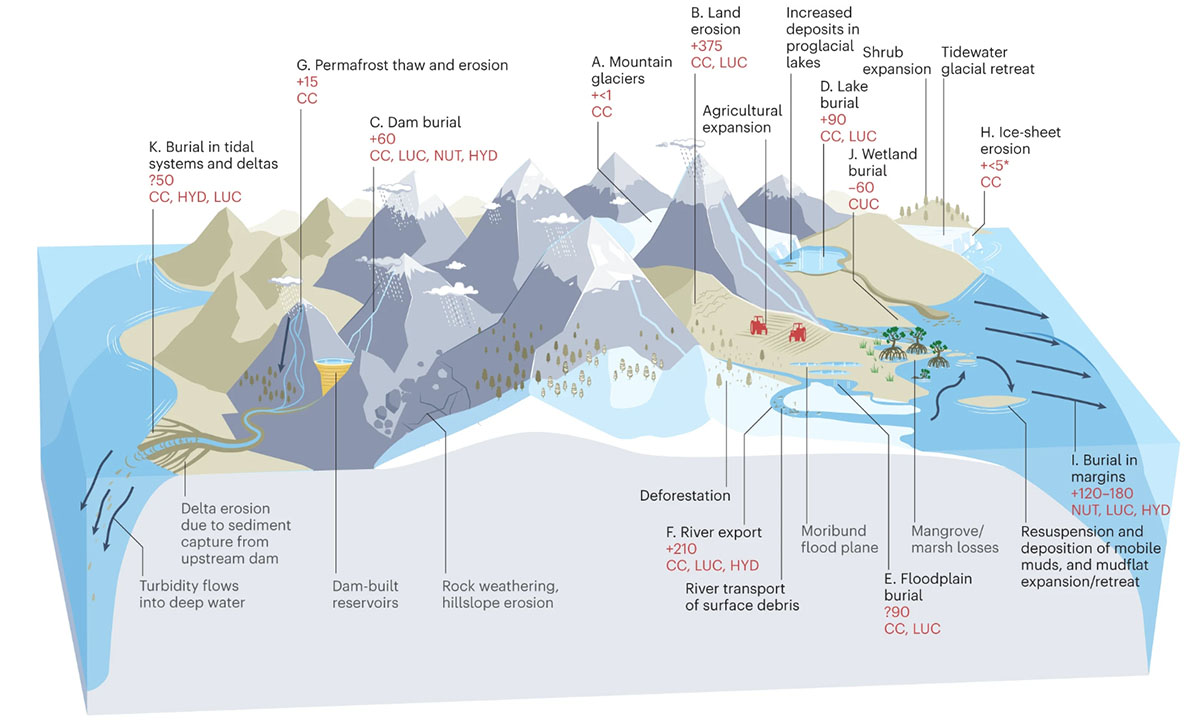 This figure shows the landscape processes controlling fluxes of mud and the impact of humans along source-to-sink gradients. The numbers represent units of Tg yr-1, where one Tg is a million metric tons. Source: Nat. Geosci., ISSN 1252-0908