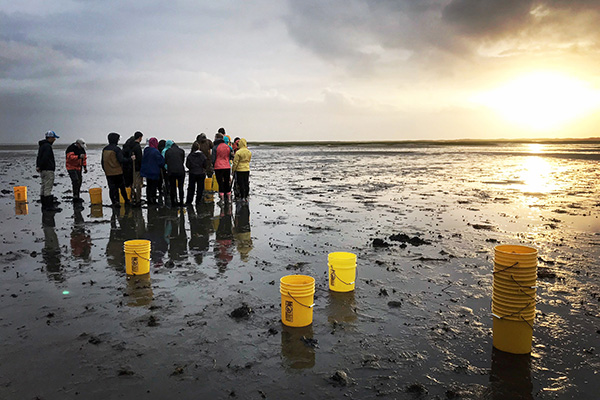 A group of William &amp; Mary students engage in field work with VIMS researchers on a mud flat. Photo by Gail Schwieterman