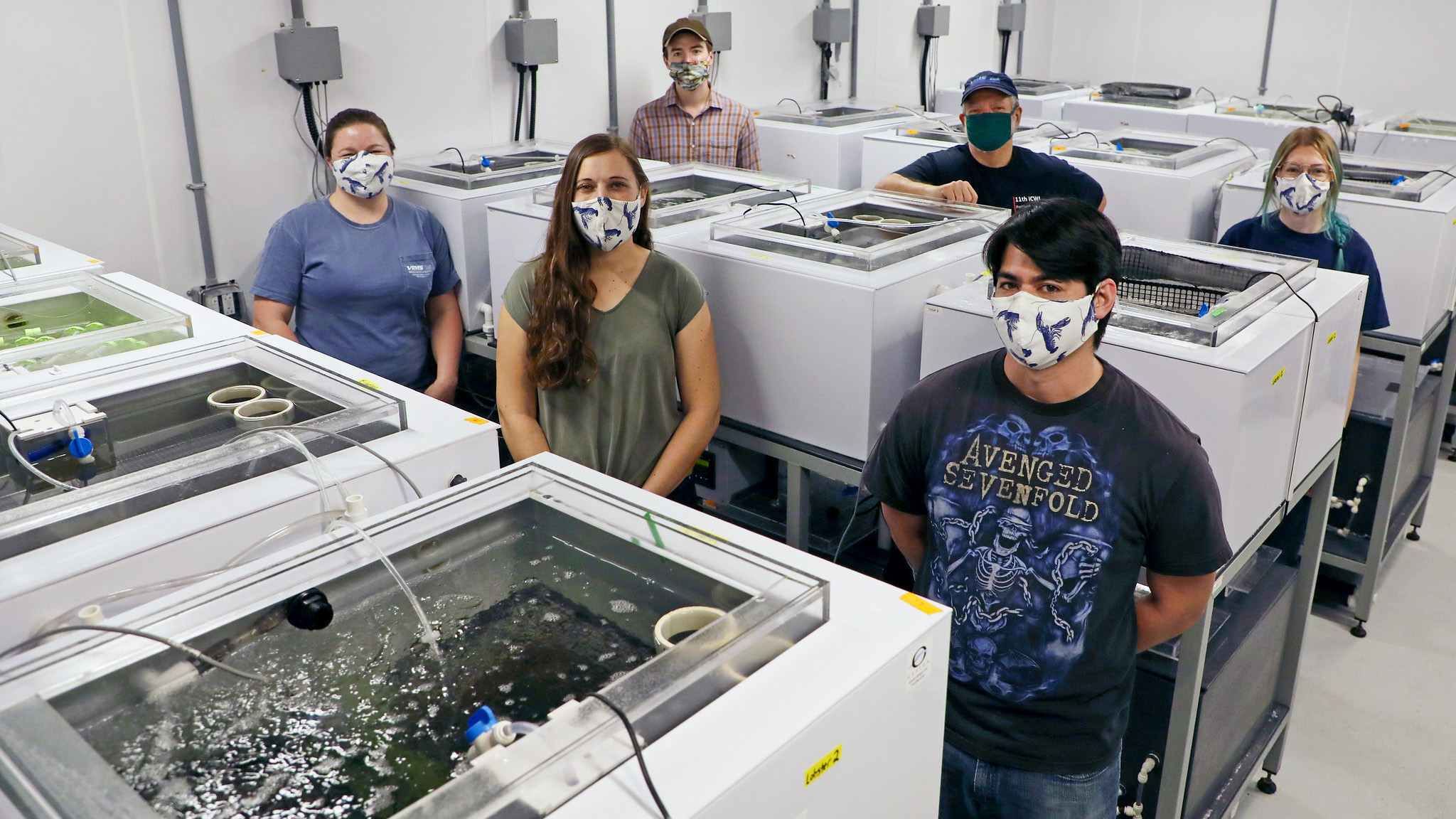 Members of the research team in the lab of Associate Professor Emily Rivest. (Photo by Virginia Sea Grant)