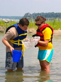 Interns Reilly Poppert and Rachel Reon examine their dip net.