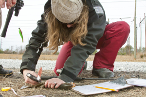 Susanna Musick, VIMS Marine Recreation Specialist, helps tag a young speckled trout. 