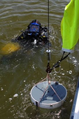 Researcher Hillary Lane collects samples from a restored oyster reef in the Choptank River. Photo courtesy of Dr. Ken Paynter.