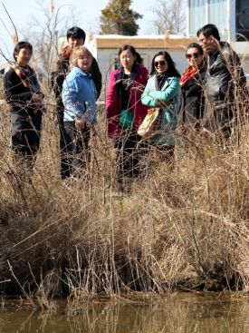 Marine Scientist Karen Duhring (3rd from L) and graduate student Zhuo Liu  (2nd from L) discuss the use of floating wetlands during the tour of the VIMS Teaching Marsh. 