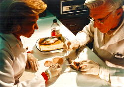 Ernie Warinner (R) and VIMS professor Beverly Anne Weeks dissect a spot as part of their study of the effects of water pollution on the immune system of fishes.