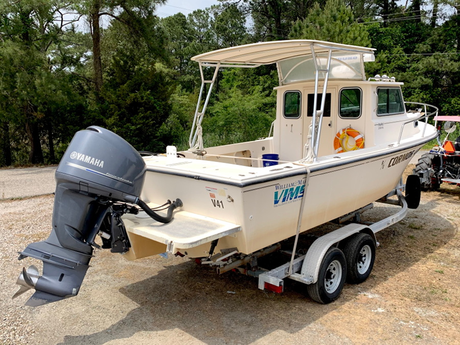 Cormorant rear corner