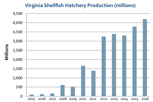 Shellfish Aquaculture Report