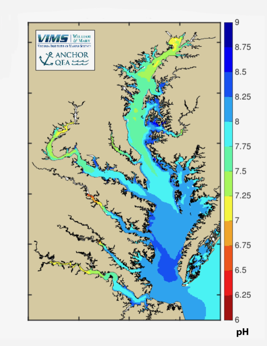 Bay Acidity