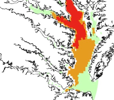 Dead Zone Forecasts