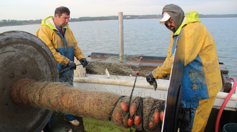 Collaborative Effort