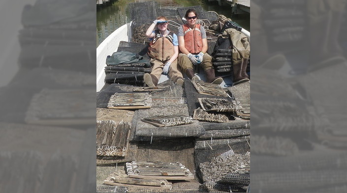 Oyster bags ready for the field