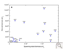 Great Wicomico Stock Recruit