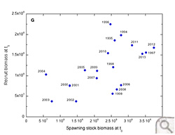 James River Stock Recruit