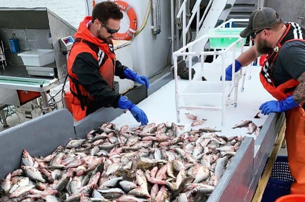 ChesMMAP Sorting Table