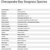 Species Table